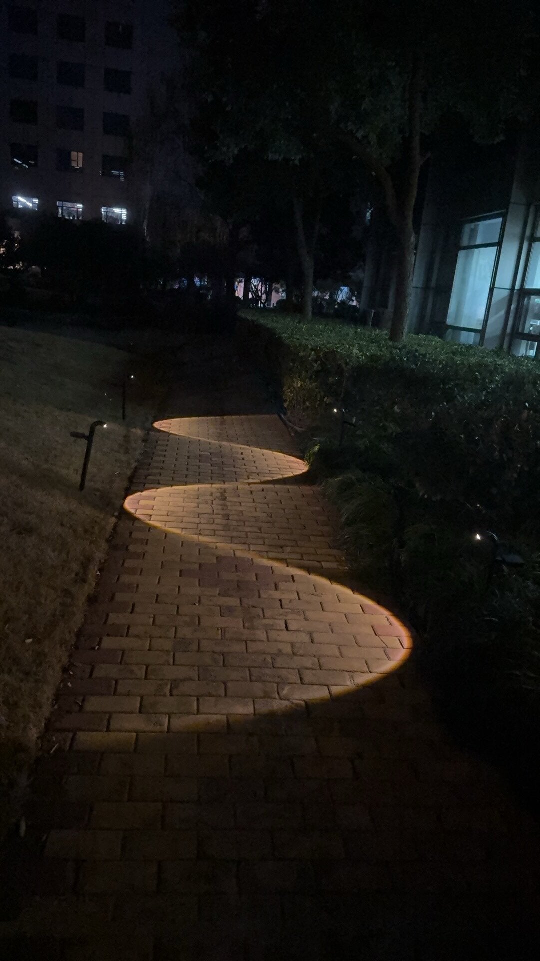 Modern Solar Lawn Ground Stake Light