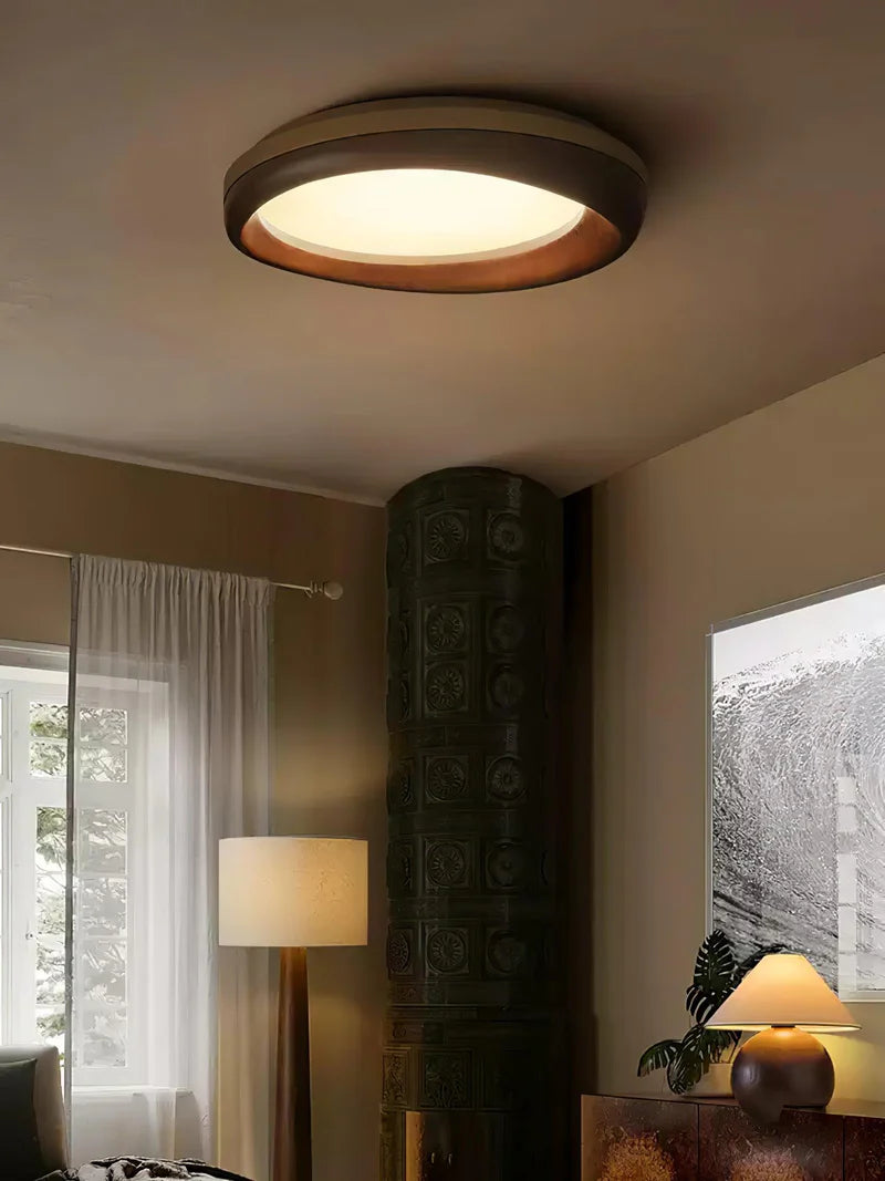 Dome Ceiling Light